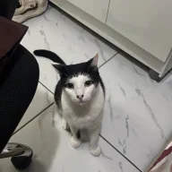 Foto do avaliador